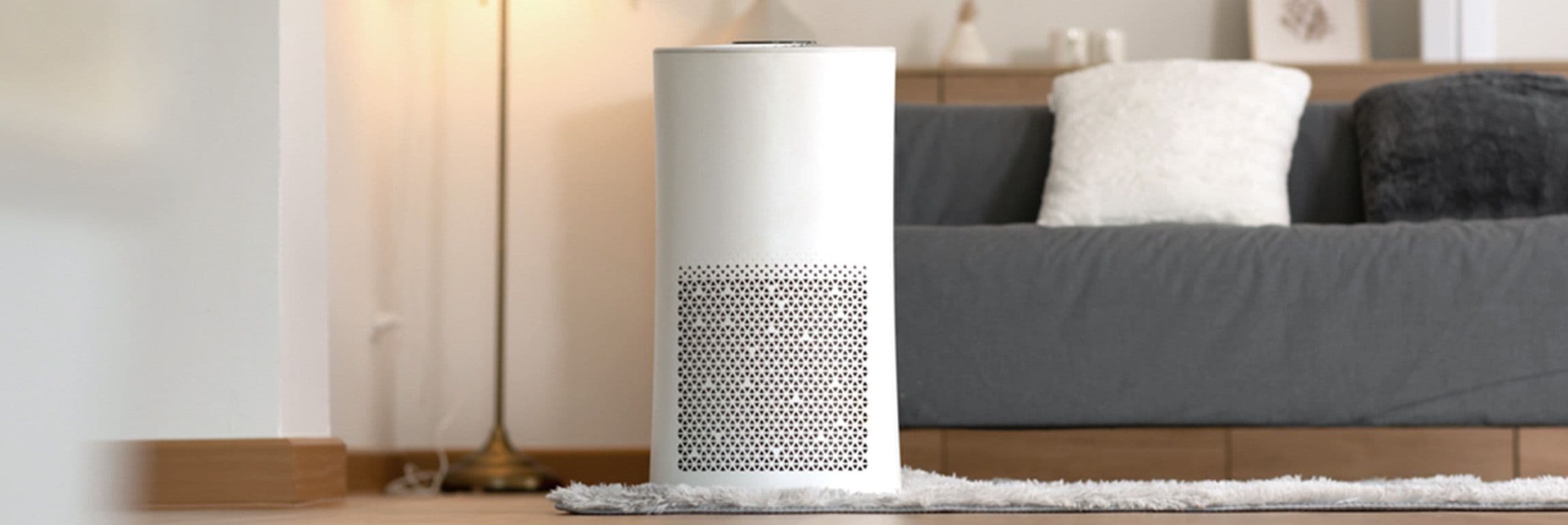 What kind of Air Purifiers are there and how do they work?